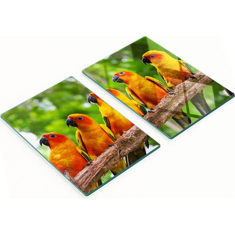 Juego de dos tablas de cocina decorativas de cristal con forma de rama de loro (2 x 40 x 52 cm) (1/5)