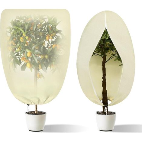 80 x 100 cm Lot de 2 Voile Hivernage Plante Exterieur, Voile d'hivernage avec Cordon de Serrage et Zipper, Housse Hivernage Plante Réutilisabl (1/4)