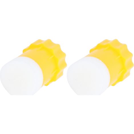 2 bouteilles en plastique pour le marquage des reines, cages de capture des reines pour l'apiculture (1/5)