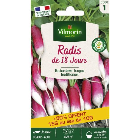 Radis demi-long rose 18 jours – Période de semis : mars à juillet – Récolte jeune pour éviter creusage – Graines de potager Vilmorin
