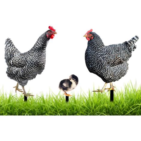 Statues, Decorative Garden Chicken Statue Garden Art Hen Apple Background Ornaments Chicken Garden Animal Figurine Decoration for Outdoor 3pcs (1/5)