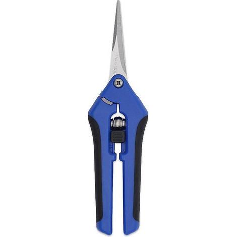 scateur Bleu De Jardinage Main Coupe Branche Avec Lames En Acier Inoxydable Pour Fleurs Et Plantes (1/4)