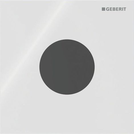 GEBERIT 246120SI1 Type 40 Plaque de recouvrement pour commande UR IR (1/4)