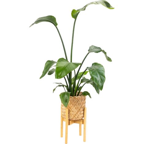 Support à fleurs en bois NEST (1/4)
