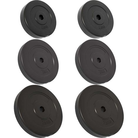 vidaXL Discos de pesas 6 piezas cemento 30 kg (1/2)