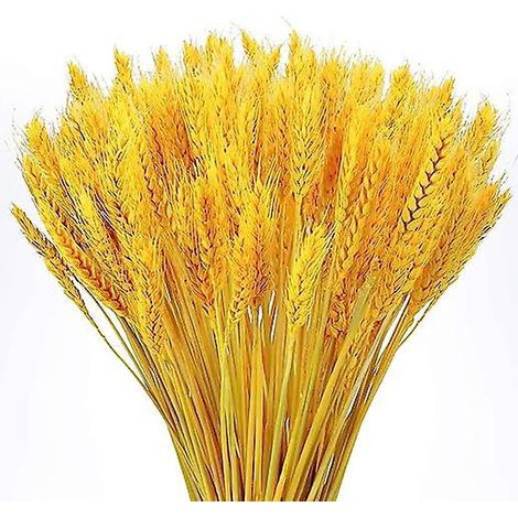 100pcs 60cm Jaune Bl Fleurs Sches Bouquet Fleurs Sches Naturelles Fleurs Sches Dcoration Fleurs Sches Mariage Fleurs Sches Bouquet Chemine Cuisine (1/5)