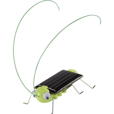 GRILLON SOLAIRE SOL EXPERT 46125 (1/2)