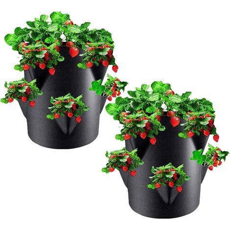 2-teilige Pflanzsäcke, 6 Belüftungslöcher, Vliesstoff, für Erdbeeren, Gemüse, Balkon, Garten (1/5)