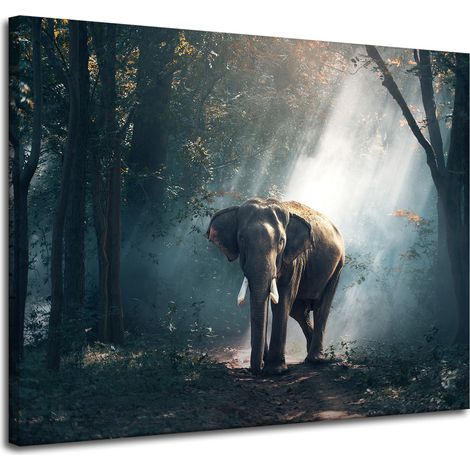 Lienzo impreso con diseño de elefante, 100x80 cm.