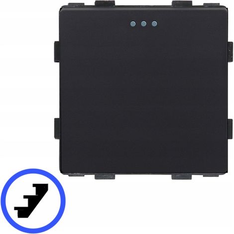 Treppenhauslichtschalter 1P mechanischer Einsatz schwarz RTX SH (1/5)
