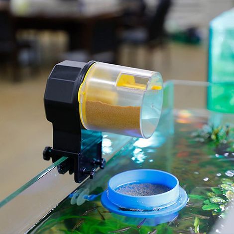 Distributeur automatique de nourriture pour poissons avec minuterie 12h/24h pour aquariums (1/3)
