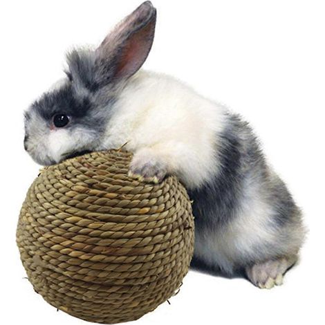 Balle d'herbe naturelle à mâcher pour l'hygiène dentaire des petits rongeurs et chats (1/5)