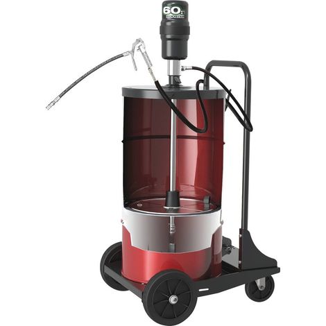Satz Luftpumpe für Fett 50/60kg Schlauch 4m PIUSI - 10372