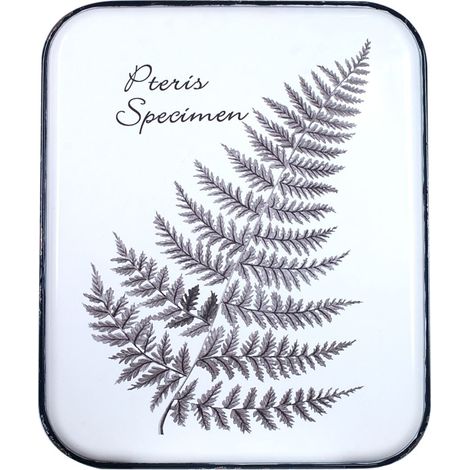 Signes Grimalt Placa De Metal Adorno Pared  Adorno Pared Hoja Placas Metal Blanco 2x43x53cm 12220