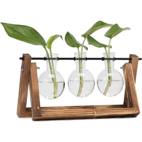 1 Vase hydroponique, Verre, Support bois, Rotation métal, Salon bureau (1/5)