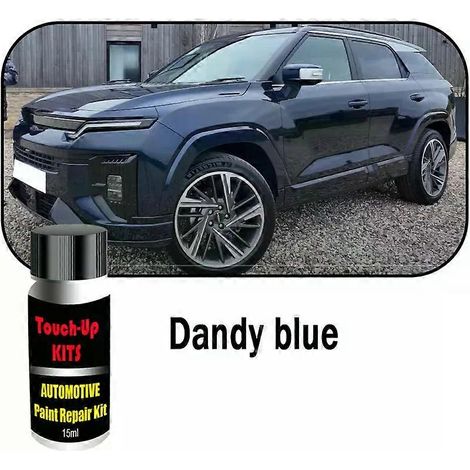 Kit de retouche peinture automobile personnalisé (2 pièces) pour KGM SsangYong Actyon : efface-rayures et accessoires d'entretien. (1/5)