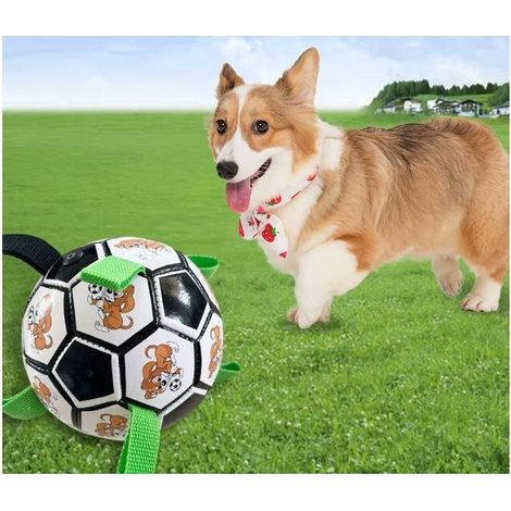 Indestructible dog ball, interactive dog ball for indoor and outdoor play, with an air pump, (black version) green cartoon (1/3)