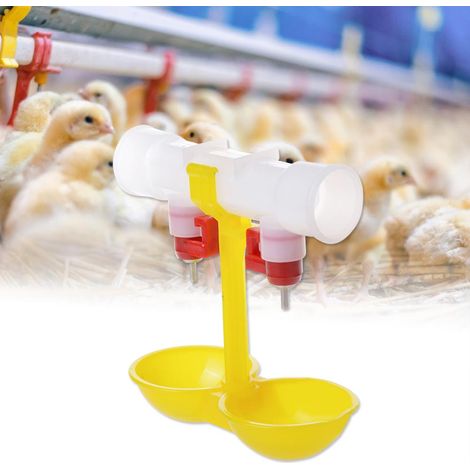 Abreuvoir et nourrisseur pour poules, volailles et cailles - Alimentation en eau pour poulailler, 1/2 pouce (1/4)