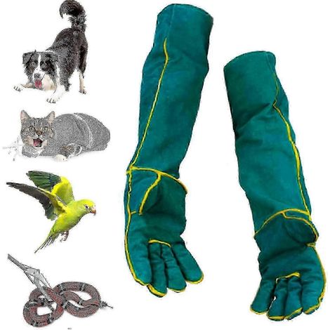 Gants résistants aux morsures de 60 cm pour la manipulation d'animaux, le jardinage et le dressage canin (1/5)