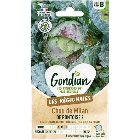 Sachet de graines Chou de Milan de Pontoise 2 GONDIAN