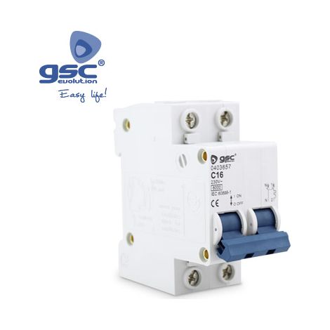 2P 20A Leistungsschalter GSC 000403682