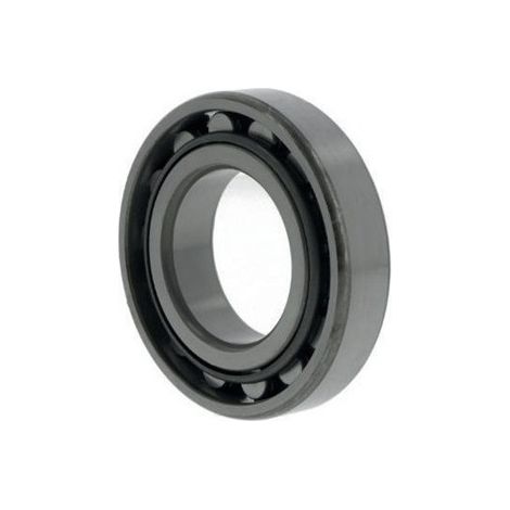 Rodamiento de rodillos cilíndricos N209 DI 45mm AD 85mm Anchura19mm NACHI