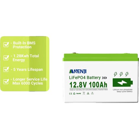 Batterie au phosphate de fer lithium, capacité de 100Ah, protection BMS, ANJ-12V-100AH (1/2)