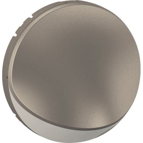 Enjoliveur pour spot pour escalier - Céliane 2024 - CT0274 - Legrand - Titanium (1/2)
