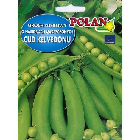 Semillas de guisantes Platinet MIRACLE kelvedonu Semillas de guisantes 40 g