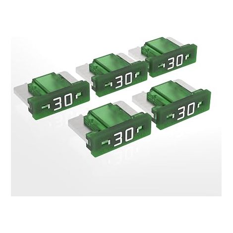 Mini LP Blade Fuses 2A - 30A Automotive Plug-In Fuse Choice: 30A Ampere Green, 5pcs (1/5)