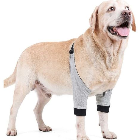 Ellenbogenbandage-Schutz, weich, atmungsaktiv, schmerzlindernd, Schulterstütze, Ellenbogenschützer für Hunde (XL)