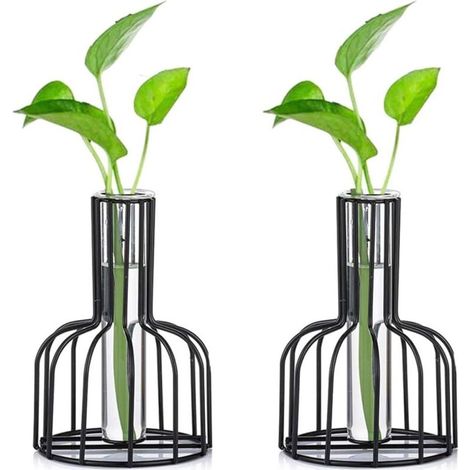 2 Pcs Mini Vases Set Petits Vases Pour La Décoration De Table Vase À Fleurs Bourgeon Moderne Vase En Verre Hydroponique Tubes À Essai (Noir)-Fei Yu