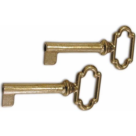 Chiave in Ottone Lucido per Mobili 35x60 mm Ds 81007C  conf. 2 Pz (1/2)