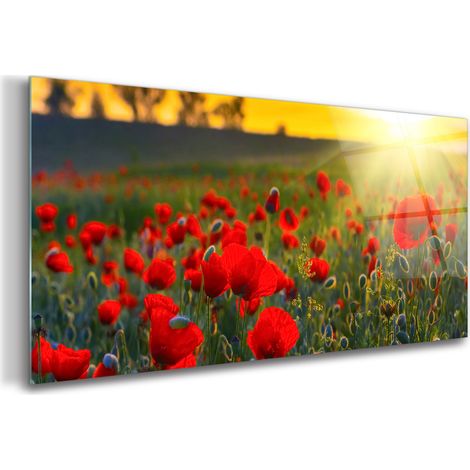 Tableau sur verre – 100 x 50 cm - Tableau mural décoratif - Verre Décorative - Coucher de Soleil Sur Un Champ (1/5)