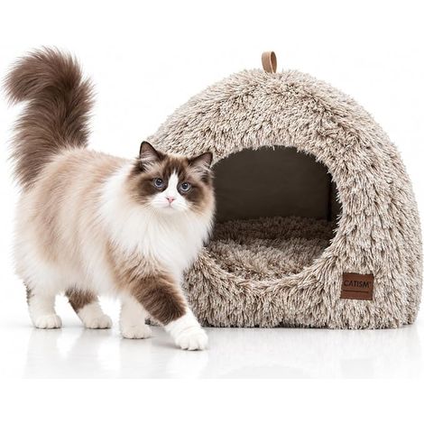 Chat Lit Coussin avec Oreiller Doux lit de Chat Panier Lit Lavable Tissu Peluche Couffin Chien Beige 40 x 40 x 37 cm (1/5)