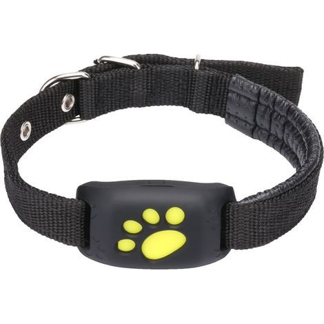 Traceur de localisation pour chiens, étiquette intelligente avec couverture améliorée, fonctionne sans heurt avec l'application Trouver mon, GPS (1/5)