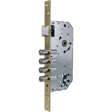 Tesa Assa Abloy 1 Tesa R100B E50 Senza CIL.AE, Smaltato (1/2)