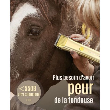 Tondeuse pour Cheval Sans Fil Professionnelle Tondeuse Équestre Silencieuse pour Poils Épais avec Sabots et Ciseaux