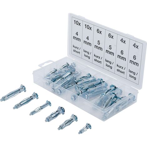 BGS Assortimento  tasselli ad  espansione/ancoraggio 40pz.  - 8139 (1/3)