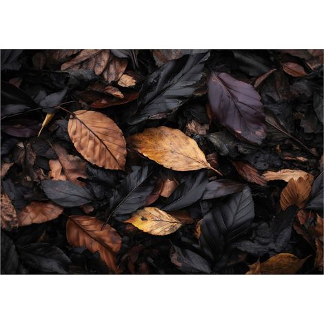 Fototapete Blätter Natur Schwarz – Großformat Wandtapete 150x105 cm – Für Wohnzimmer & Schlafzimmer
