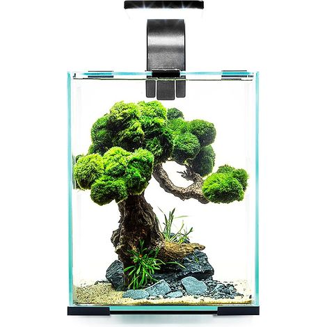 Ensemble pour crevettes Aquael Jour et Nuit 10L Blanc - kit pour aquarium