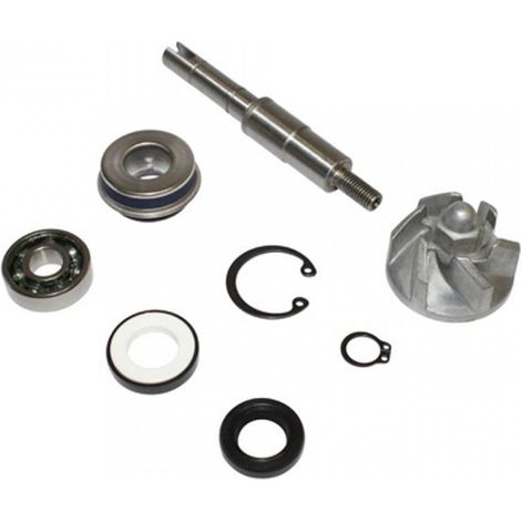 Wasserpumpe one für Roller honda 125 sh nach 2001 neu