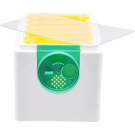 Ruche pour Abeilles de Harvest - Ruche Apiculture EPS, Kit Rucher Incluant Boîte Blanche pour Régulation Thermique et Pollinisation de Jardins, Dimensions 23.814.513cm (1/2)
