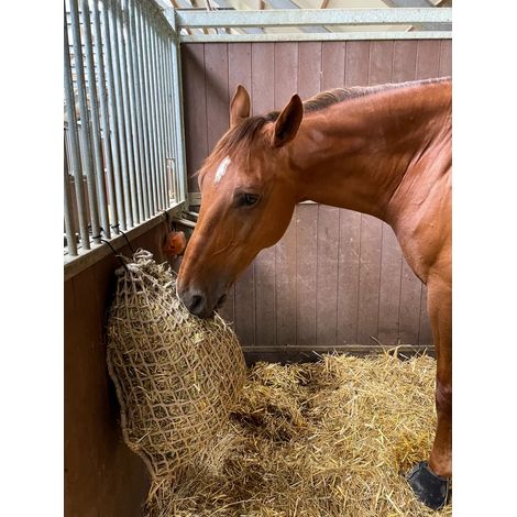 Rete per fieno 5 Kg 75x75 mm Cavallo Box (1/4)