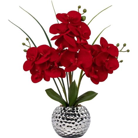Orchidee Phalaenopsis Kunstblume Höhe 49 cm Keramiktopf Rot (1/5)