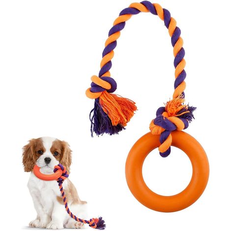 Faja abdominal para perros machos para la incontinencia, reutilizable, lavable, de algodón, pantalones sanitarios para mascotas (MGray) (1/5)
