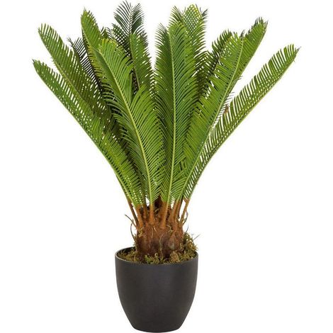 bümö Kunstpflanze Palmfarn (Cycas)