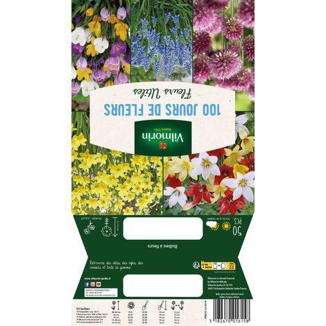 Vilmorin Bulbes à fleurs en Mélange - 100 jours de bulbes à fleurs (x50)