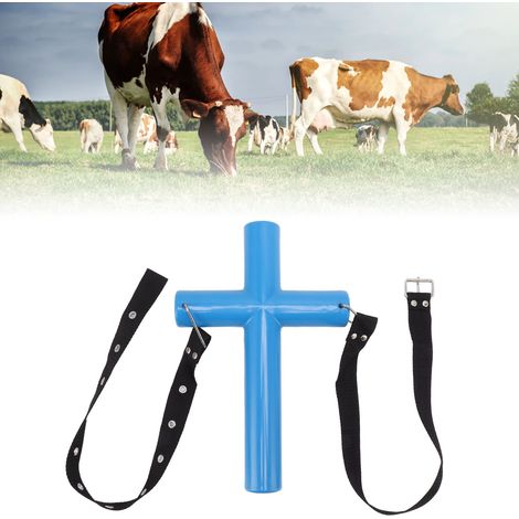 HL-Q13-3 Outil d'ouverture pour vaches laitières Blue Cross, petit outil en forme de croix pour l'élimination du fer et le lavage de l'estomac (1/5)