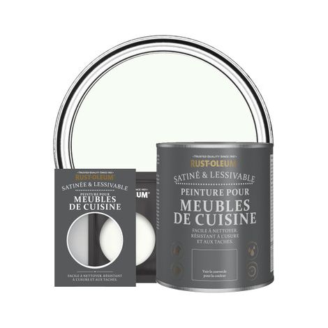Peinture pour Meubles de Cuisine, Finition Satinée - Immobile (1/3)